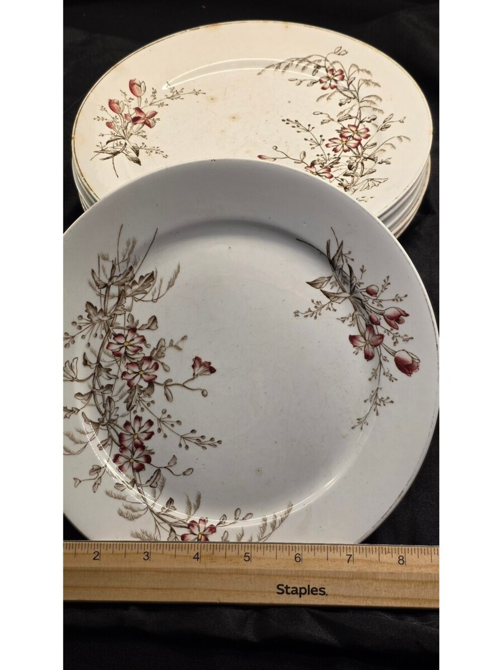 1930z Set of 6 Wedgwood Dianthus dinner plates set